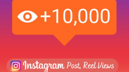 instagram Followers1233